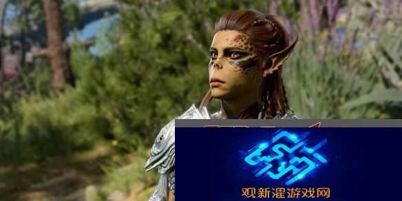 博德之门3总监驳单机消亡论