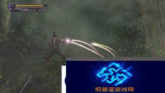 本站