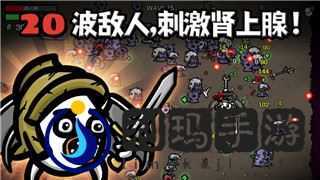 螺旋圆舞曲白星好感度问答攻略：提升白星好感度的关键技巧与实用策略
